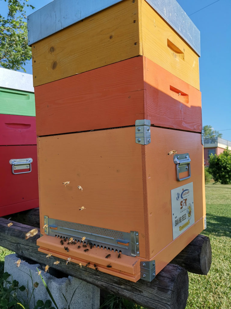 Italtrade saving bees