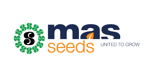 mas seeds logo box