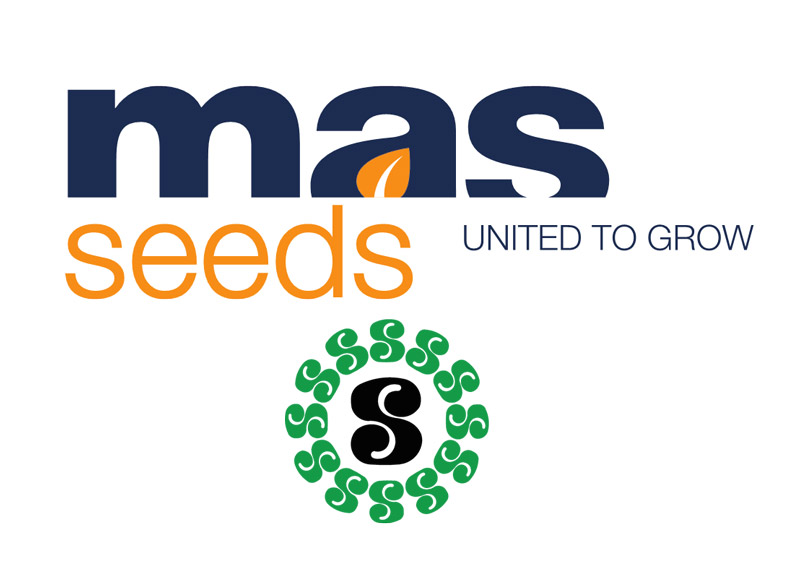 logo mas seeds